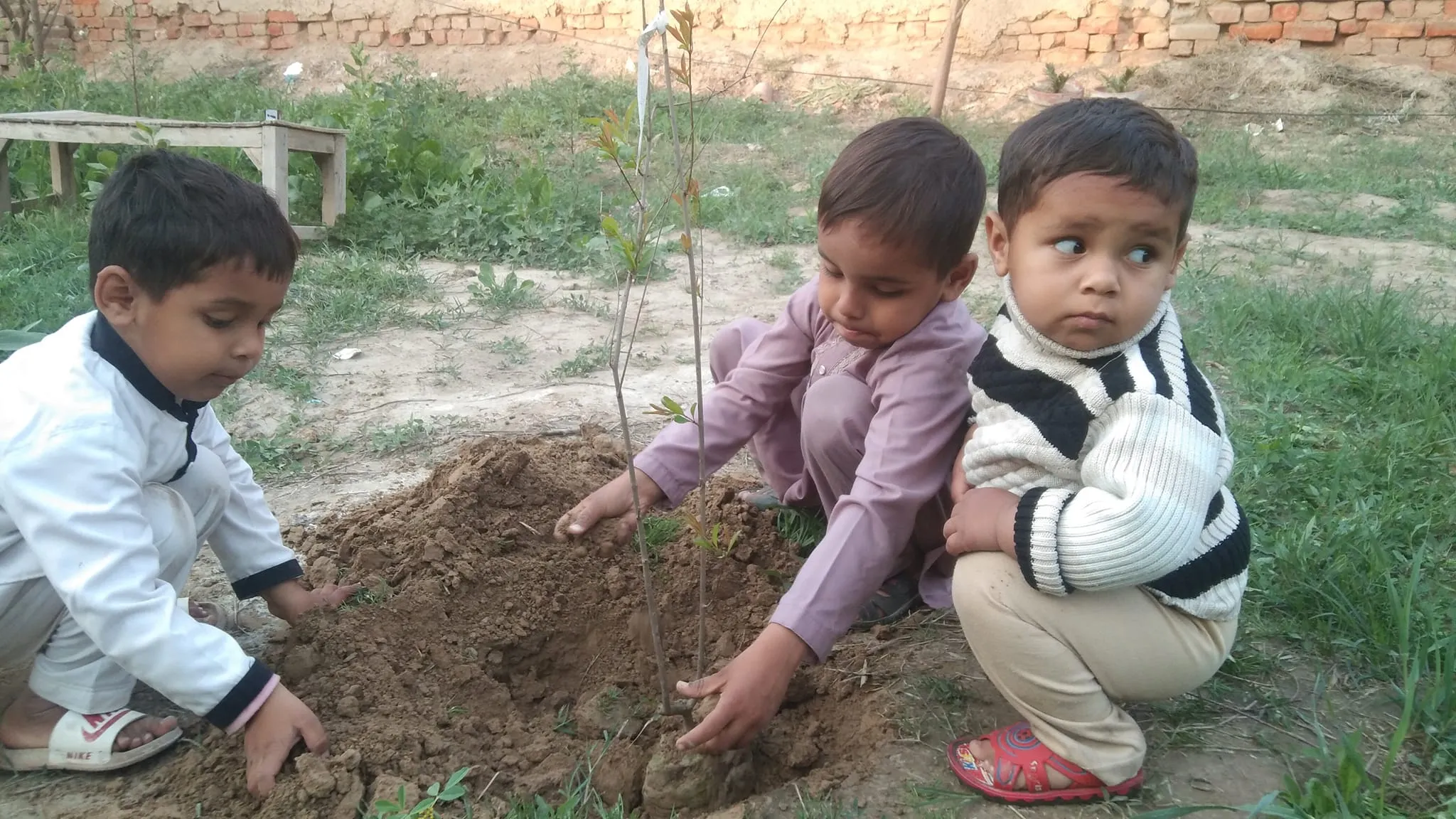 Green Seekers Activity